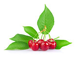 Ripe juicy cherry with green leaf