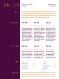 Simplistic curriculum vitae resume template with purple stripe