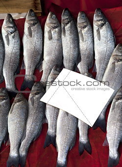 Sea bass at fish market