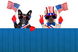 4th oh july row of dogs