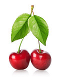 Two cherries isolated