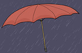 Red Umbrella in Rain
