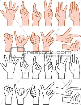 Universal Hand Signs Gestures