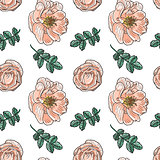 Briar rose color sketch seamless
