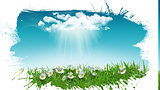 3D daisies in grass with cloud with grunge splat effect
