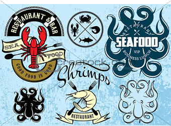 vector patterns with lobster, octopus, shrimp for logo design seafood