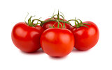 Red ripe tomatoes with green branch