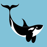 portrait of a killer whale