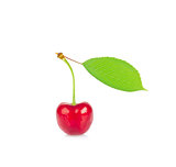 Ripe juicy cherry with green leaf. 