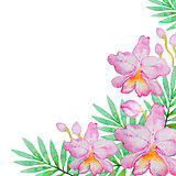 Pink orchids and green leaves