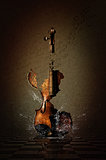 Shattered Violin in Water