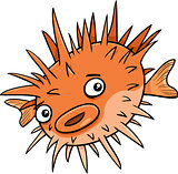 blowfish fish cartoon illustration