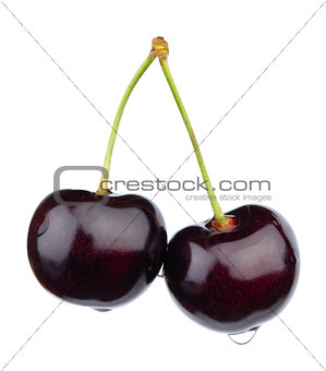 Two sweet cherries