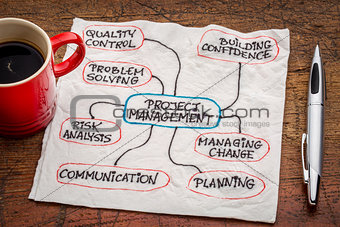 project management flow chart or mindmap