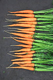 raw fresh carrots with tails on natural background