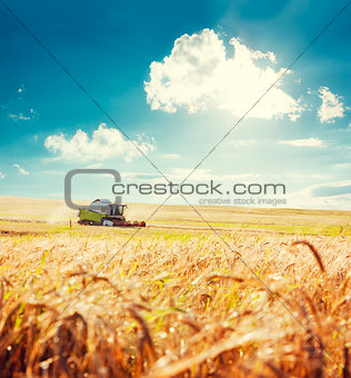 Combine Harvester on a Wheat Field