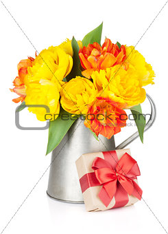 Colorful tulips in watering can and gift box