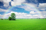 Green grass field, blue sky with clouds and rainbow