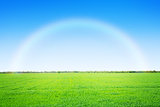 Green grass field and blue sky with rainbow