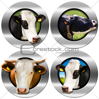 Round Symbols with Heads of Cows