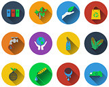 Set of ecological icons
