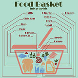 Food basket infographics 