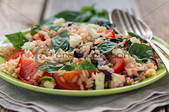 Orzo pasta with basil, tomatoes and cheese.