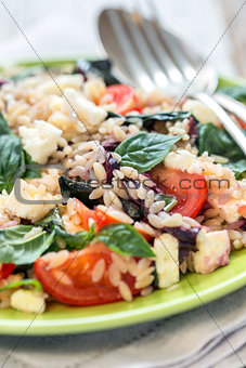 Dish with a salad of pasta orzo, basil and tomatoes.