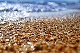 Narrow focus on the seashell