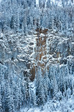 Snowy fir trees and frozen waterfall 