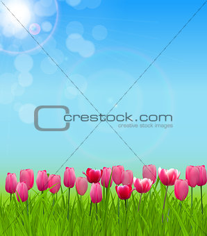 Floral background with Tulips Vector Illustration