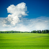 Green Field on the Background of Blue Sky