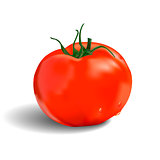 Isolated red tomato