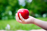 Apple in one hand 