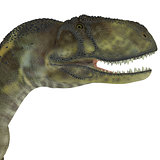 Abelisaurus Dinosaur Head