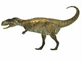Abelisaurus Side Profile