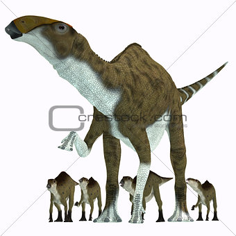 Brachylophosaurus Herbivore Dinosaur