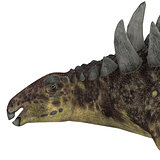 Hungarosaurus Dinosaur Head