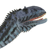 Majungasaurus Dinosaur Head