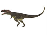 Mapusaurus Side Profile