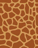 leather of giraffe