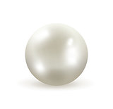 White pearl vector illustration