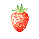 Delicious wild berry strawberry 