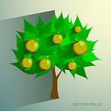 apple tree isolated on White background. Vector illustration