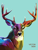 Deer polygonal illustration. Vector  eps 10