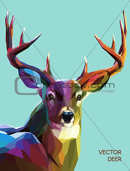 Deer polygonal illustration. Vector eps 10