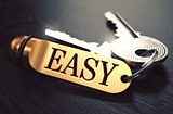 Easy Concept. Keys with Golden Keyring.