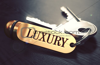 Luxury written on Golden Keyring.