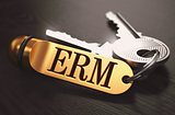 ERM - Bunch of Keys with Text on Golden Keychain.