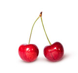 Two red juicy sweet cherries